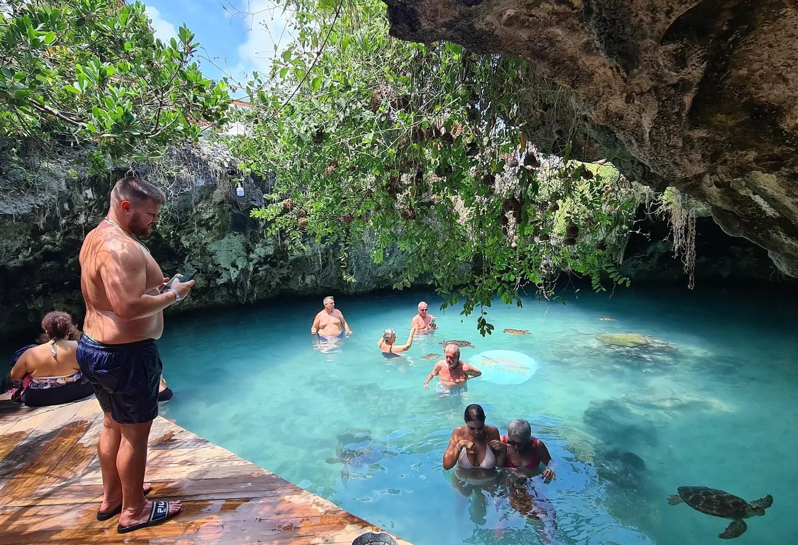 Sea Turtle Caves